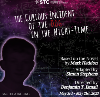 The Curious Incident of the Dog in the Night-time